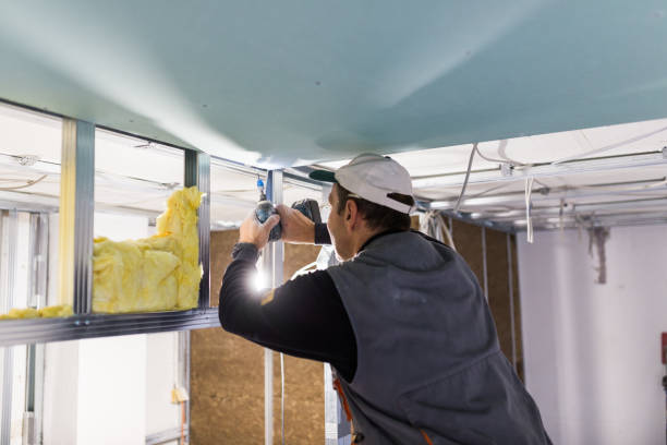 Best Blown-in Insulation in Valley Center, CA