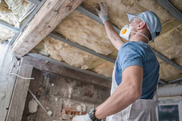 Best Cellulose Insulation in Valley Center, CA